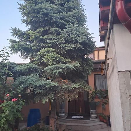 Ferienwohnung Casa Rusu Galaţi Exterior foto