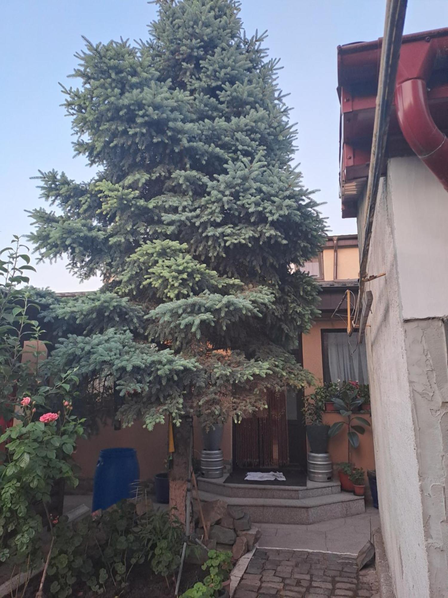 Ferienwohnung Casa Rusu Galaţi Exterior foto