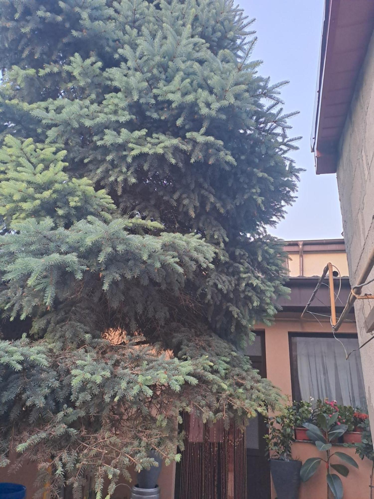 Ferienwohnung Casa Rusu Galaţi Exterior foto